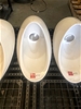 Waterless Urinals